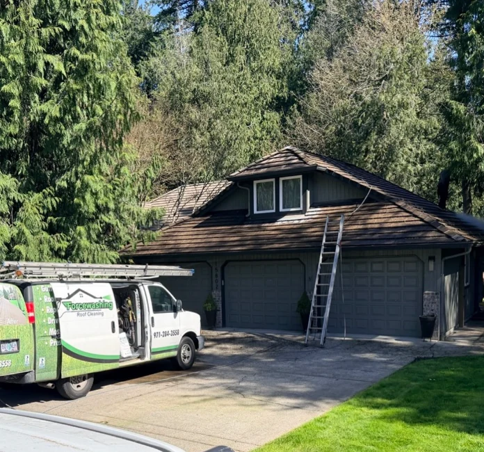 Rip City Roof Cleaning van and access ladder at a residential work site