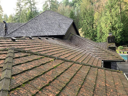 Before Roof Cleaning - Dirty Roof 