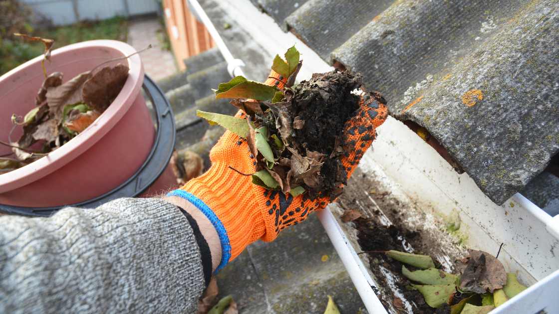How Often to Clean Gutters?